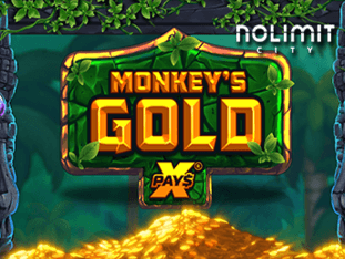 Monkeys Gold Xpays